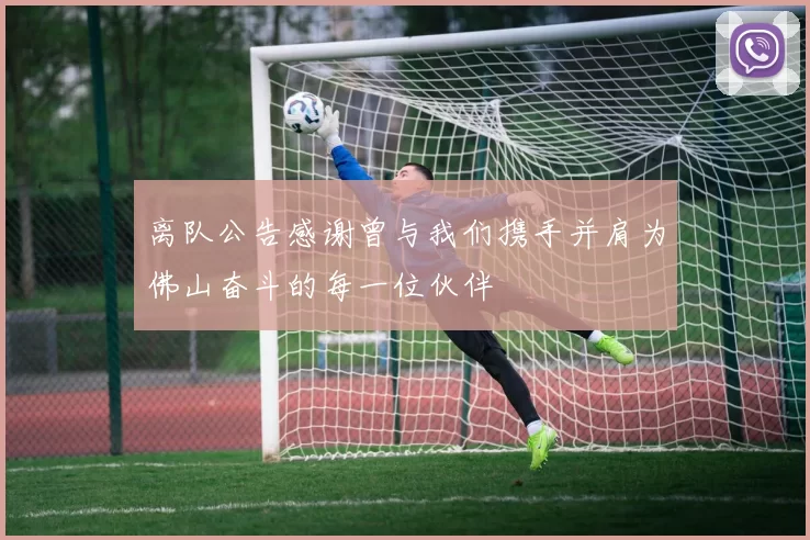 离队公告感谢曾与我们携手并肩为佛山奋斗的每一位伙伴